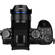 Venus 7.5mm f/2: Picture 13 thumbnail