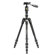 Vanguard VEO 3T 204: Picture 1 thumbnail