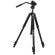 Vanguard ABEO 243AV: Picture 1 thumbnail