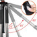 Vanguard Abeo Plus 363CT: Picture 4 thumbnail