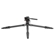 Vanguard Alta Pro 3VLT + VEO PV-10: Picture 12 thumbnail