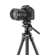 Vanguard Alta Pro 3VLT + VEO PV-10: Picture 6 thumbnail