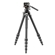 Vanguard Alta Pro 3VLT + VEO PV-10: Picture 1 thumbnail