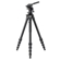 Vanguard Alta Pro 3VLT + VEO PV-12: Picture 1 thumbnail