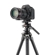 Vanguard Alta Pro 3VLT + VEO PV-12: Picture 7 thumbnail