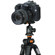 Vanguard Alta Pro 254 Carbon Tripod with...: Picture 3 thumbnail