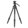Vanguard Alta Pro 3VLT + VEO PV-12: Picture 1 thumbnail