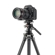 Vanguard Alta Pro 3VLT + VEO PV-12: Picture 5 thumbnail