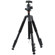 Vanguard ALTA+ 264AB 100 Aluminum Tripod with SBH-100 Head, Supports 11 lbs., Max Height 59": Picture 1 thumbnail