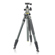 Vanguard ALTA PRO 2+ 264AB 4-Section Aluminum Tripod with BH-100 Ball Head, Gray