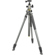 Canon RF 200-800mm f/6.3-9: Picture 3 thumbnail