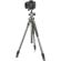 Vanguard Alta Pro 2+ 263AB100: Picture 8 thumbnail