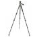 Vanguard ALTA PRO 2 264AO: Picture 1 thumbnail