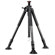 Vanguard 323CT: Picture 1 thumbnail
