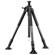 Vanguard 323CT: Picture 1 thumbnail