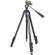 Vanguard MT-23: Picture 2 thumbnail