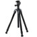 Vanguard NIVELO 244BK: Picture 1 thumbnail