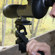 Vanguard PH-242: Picture 2 thumbnail