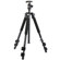 Vanguard 243AB-50: Picture 5 thumbnail