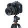 Vanguard 243AB-50: Picture 4 thumbnail