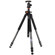 Vanguard 253CB-50: Picture 5 thumbnail