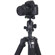Vanguard 264AB-100: Picture 4 thumbnail