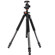Vanguard 283CB-100: Picture 5 thumbnail