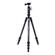 Vanguard VESTA TB 204: Picture 1 thumbnail