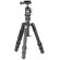 Vanguard VESTA GO T 203: Picture 1 thumbnail
