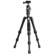 Vanguard VESTA GO T 203: Picture 2 thumbnail
