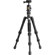 Vanguard VESTA GO T 233: Picture 2 thumbnail