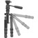 Vanguard VESTA GO T 233: Picture 5 thumbnail