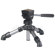 Vanguard VSF-55, 12-50x50 Angled View Sp...: Picture 1 thumbnail