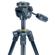 Vanguard Vesta 203AP: Picture 6 thumbnail