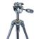 Vanguard Vesta 233AP: Picture 1 thumbnail