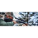 Vortex Optics Razor HD LHT: Picture 5 thumbnail