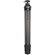 Vortex Optics Switchback CF Tripod: Picture 4 thumbnail