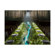 ViewSonic LS711HD: Picture 18 thumbnail