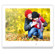 ViewSonic 8" Multimedia Digital Photo Fr...: Picture 1 thumbnail