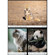 Viltrox LAB Series AF 135mm f/1.8: Picture 12 thumbnail
