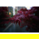Viltrox AF 16mm f/1.8: Picture 13 thumbnail