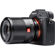 Viltrox AF 35mm f/1.8 FE: Picture 22 thumbnail