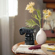 Viltrox AF 75mm f/1.2: Picture 15 thumbnail