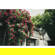 Viltrox AF 28mm f/1.8 Z: Picture 13 thumbnail