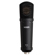 Warm Audio WA-87jr '87-Style Large Diaph...: Picture 1 thumbnail
