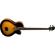 Washburn AB40VSK: Picture 1 thumbnail