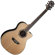 Washburn AG20CEK: Picture 2 thumbnail