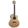 Washburn AG40CEK: Picture 1 thumbnail