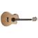 Washburn AG40CEK: Picture 4 thumbnail