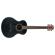 Washburn Apprentice G-Mini 5: Picture 2 thumbnail
